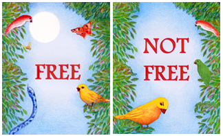 Free / Not Free